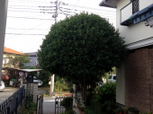 登録になりました 画像1