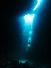 盛り沢山な宮古島　その① 画像2