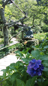 北鎌倉あじさい見物→家呑み 画像1