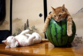 湿気で…↓ 画像3