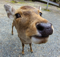 雑感（”１”編）