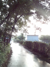 ☆雨やどり☆ 画像1