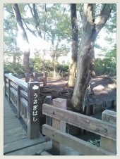 ☆てくてく☆⌒v⌒v⌒ヾ(●´∀`●)ﾉﾞ　 画像2