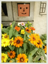 ☆元気に・・♪ 画像3