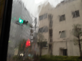 ゲリラ豪雨～♪ 画像1