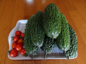 草刈優先：ウォーキングなし 画像2