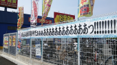 雑感（叫び編） 画像2
