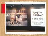 ☆猫展・・いってきました♪ 画像1