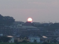 高校野球開幕♪