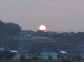 高校野球開幕♪ 画像2