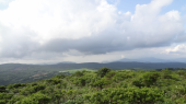 思い出写真館.8…↓ 画像2