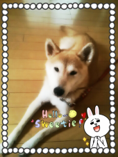 ☆メイク禁止令・・？Σ(=ﾟωﾟ=;ﾉ)ﾉ 画像1