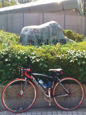 やっと坂練 画像2