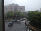 久々の、まとまった雨… 画像1