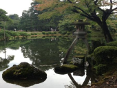帰ってきました 画像2