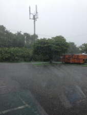 最近の雨 画像1