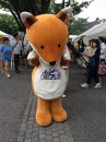 うどんと阿波踊りヽ(^。^)ノ