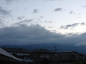 鳥肌です。 画像1