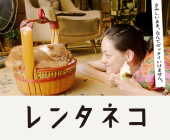レンタネコ 画像1