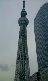９泊10日 画像1