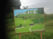 マラニック：鷲峰山金胎寺お茶供養まつり 画像1