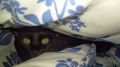 猫はコタツで･･･