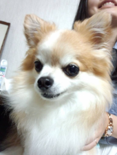 ☆一年一ヶ月ぶりの再会☆ 画像1