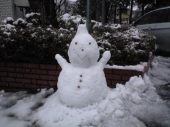 雪だぁ♪ 画像2