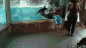 まだ蒸し暑いね…↓ 画像2