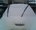 雪・雪・雪＼(^o^)／