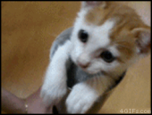 や～め～た…↓ 画像2