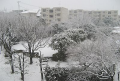 立体駐車場は雪に弱い！