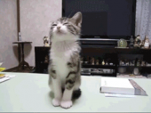まだ喉が痛い(>_<;…↓ 画像1