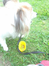 ☆しずかと外ごはん☆ 画像2