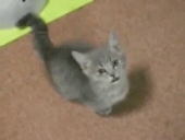 凄い雨だった…↓ 画像1