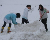 健康生活(02/03雪） 画像1