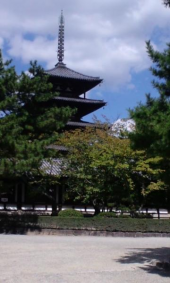 法隆寺ウォーク 画像2