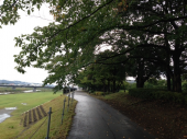 雨あがりラン♪ 画像1