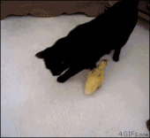 飲んだ！酔った！…↑ 画像1