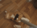 疲れた（＠＠；…↑