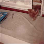 ハイ！戻した！…↓ 画像1