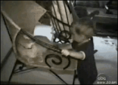 ハイ！横ばい！(笑)…→ 画像1