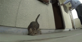今日はお江戸へ…↑ 画像3