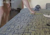 17000歩…↓ 画像3