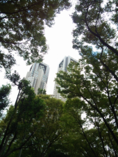 ＬＳＤ 画像1
