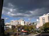 局所的な雨… 画像1