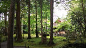 京都 画像1