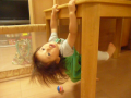 この子に会いに行きます
