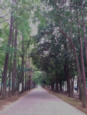公園 ＲＵＮ 画像1