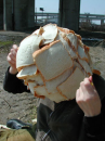 雑感（リアル編）